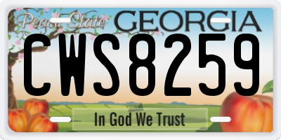GA license plate CWS8259
