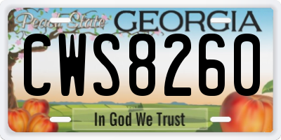 GA license plate CWS8260
