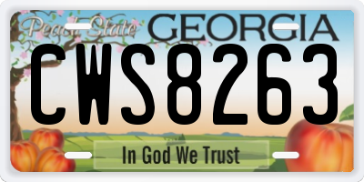 GA license plate CWS8263