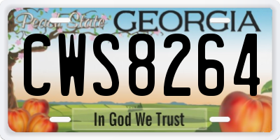 GA license plate CWS8264