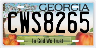 GA license plate CWS8265