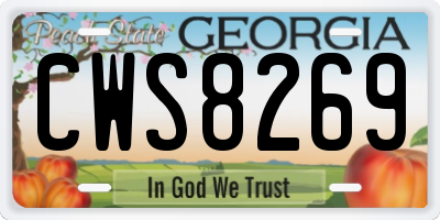 GA license plate CWS8269