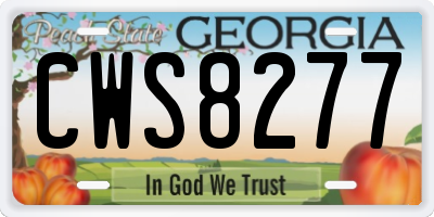 GA license plate CWS8277