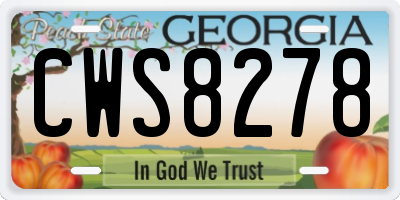 GA license plate CWS8278