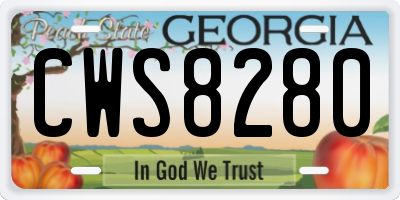 GA license plate CWS8280