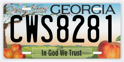 GA license plate CWS8281