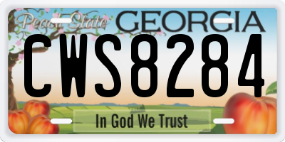 GA license plate CWS8284