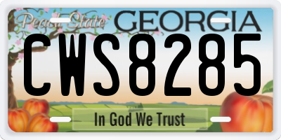 GA license plate CWS8285