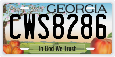 GA license plate CWS8286