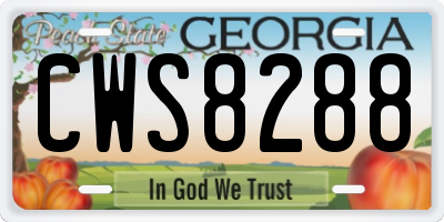 GA license plate CWS8288