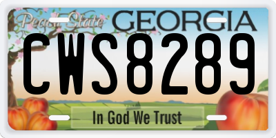 GA license plate CWS8289