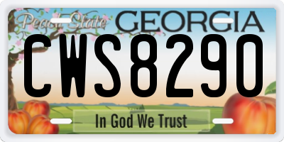 GA license plate CWS8290
