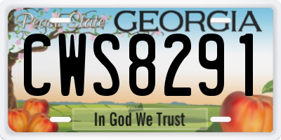 GA license plate CWS8291