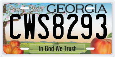 GA license plate CWS8293