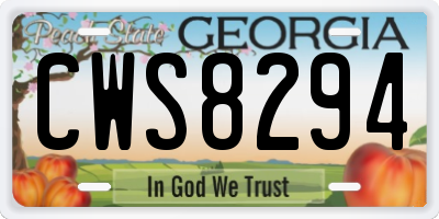 GA license plate CWS8294