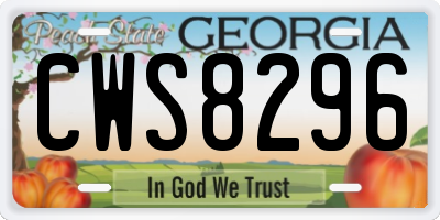 GA license plate CWS8296