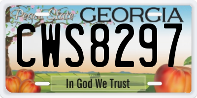 GA license plate CWS8297