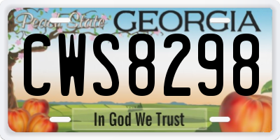 GA license plate CWS8298