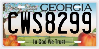 GA license plate CWS8299