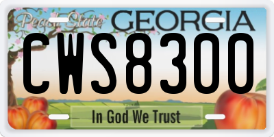 GA license plate CWS8300