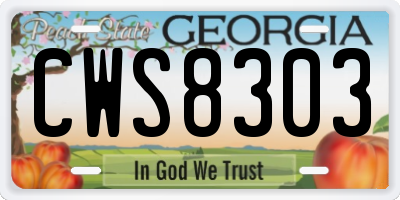 GA license plate CWS8303