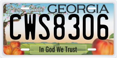 GA license plate CWS8306