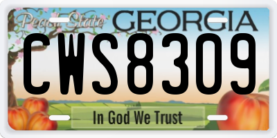GA license plate CWS8309