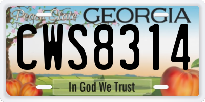 GA license plate CWS8314