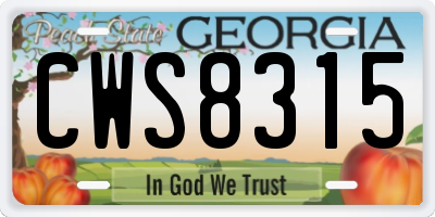 GA license plate CWS8315