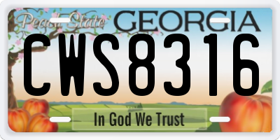 GA license plate CWS8316