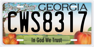 GA license plate CWS8317