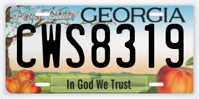 GA license plate CWS8319