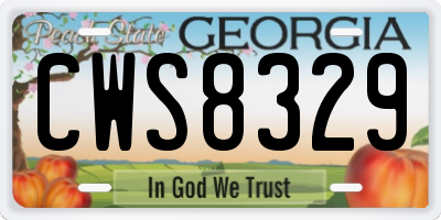 GA license plate CWS8329