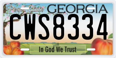 GA license plate CWS8334