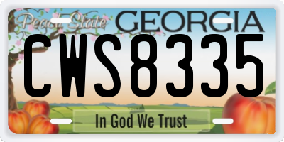GA license plate CWS8335
