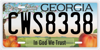 GA license plate CWS8338