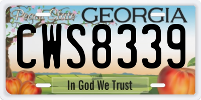 GA license plate CWS8339