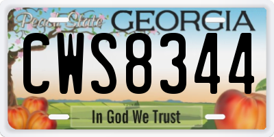 GA license plate CWS8344
