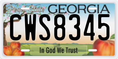 GA license plate CWS8345