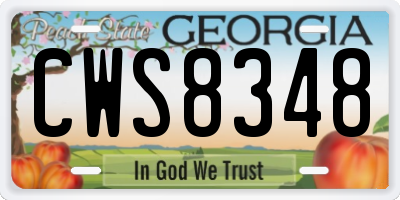 GA license plate CWS8348