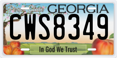 GA license plate CWS8349