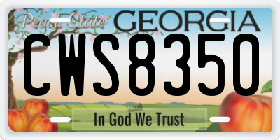 GA license plate CWS8350