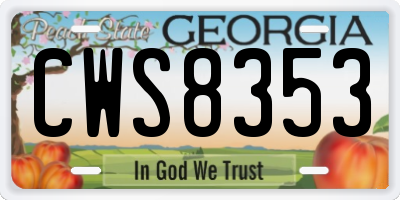 GA license plate CWS8353