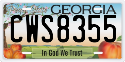 GA license plate CWS8355