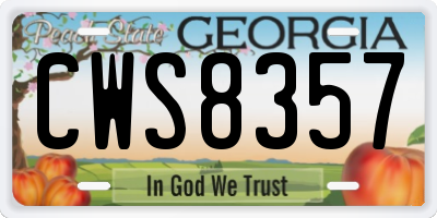 GA license plate CWS8357