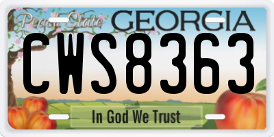 GA license plate CWS8363