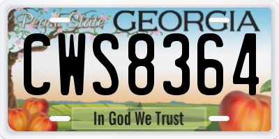 GA license plate CWS8364
