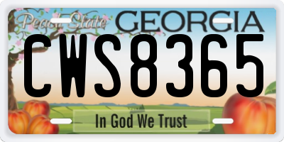 GA license plate CWS8365