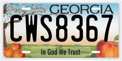 GA license plate CWS8367