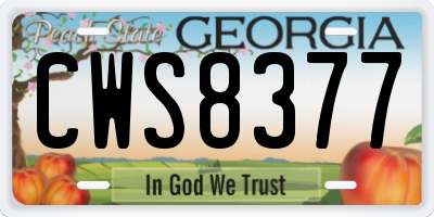 GA license plate CWS8377